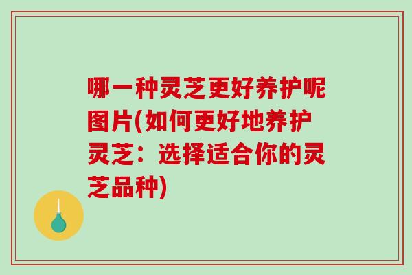 哪一种灵芝更好养护呢图片(如何更好地养护灵芝：选择适合你的灵芝品种)-第1张图片-破壁灵芝孢子粉研究指南