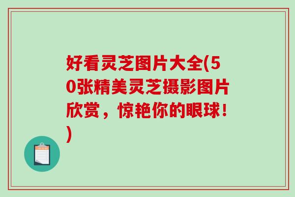 好看灵芝图片大全(50张精美灵芝摄影图片欣赏，惊艳你的眼球！)-第1张图片-破壁灵芝孢子粉研究指南