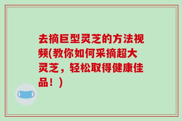 去摘巨型灵芝的方法视频(教你如何采摘超大灵芝，轻松取得健康佳品！)-第1张图片-破壁灵芝孢子粉研究指南