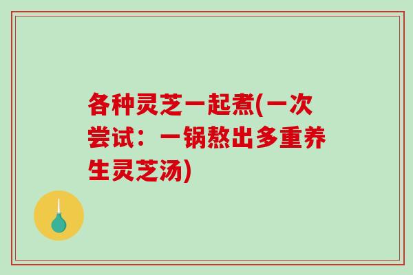 各种灵芝一起煮(一次尝试：一锅熬出多重养生灵芝汤)-第1张图片-破壁灵芝孢子粉研究指南