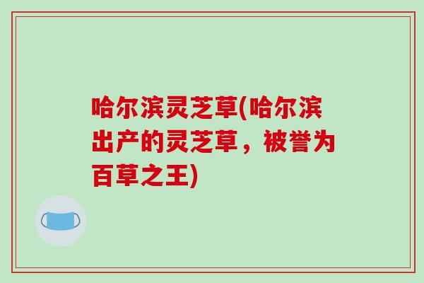 哈尔滨灵芝草(哈尔滨出产的灵芝草，被誉为百草之王)-第1张图片-破壁灵芝孢子粉研究指南