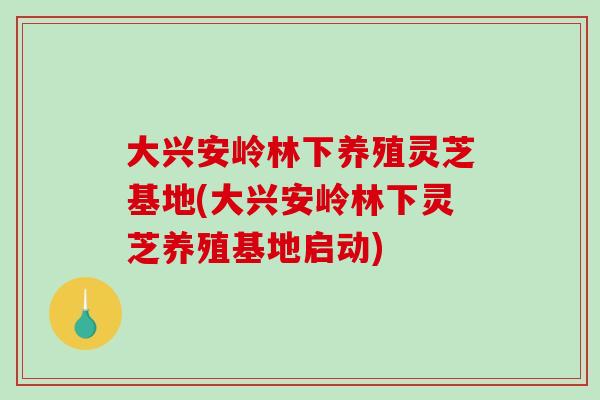大兴安岭林下养殖灵芝基地(大兴安岭林下灵芝养殖基地启动)-第1张图片-破壁灵芝孢子粉研究指南