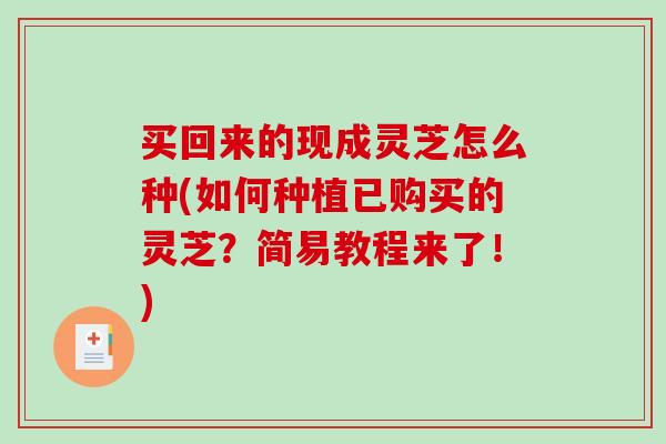 买回来的现成灵芝怎么种(如何种植已购买的灵芝？简易教程来了！)-第1张图片-破壁灵芝孢子粉研究指南