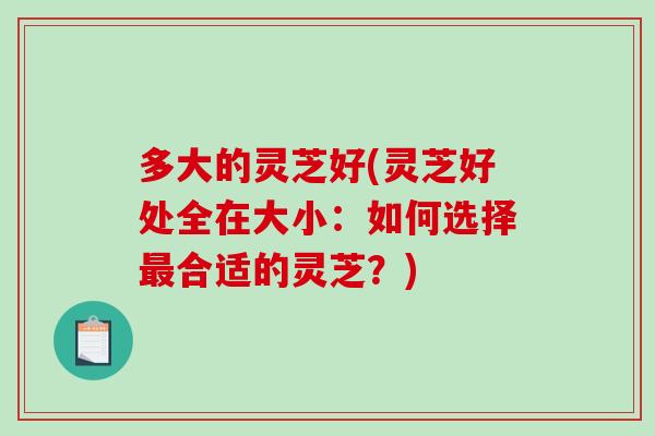 多大的灵芝好(灵芝好处全在大小：如何选择最合适的灵芝？)-第1张图片-破壁灵芝孢子粉研究指南