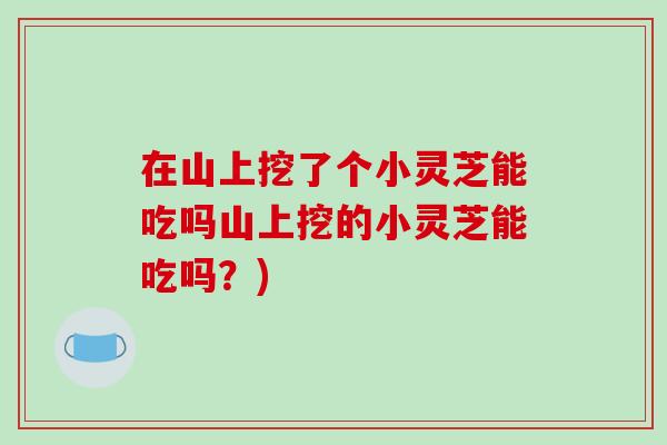 在山上挖了个小灵芝能吃吗山上挖的小灵芝能吃吗？)-第1张图片-破壁灵芝孢子粉研究指南