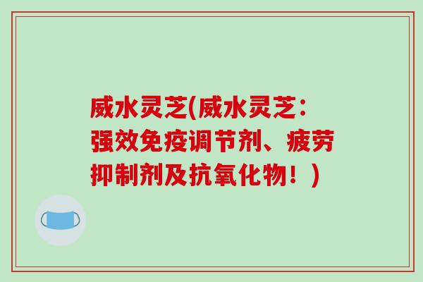 威水灵芝(威水灵芝：强效免疫调节剂、疲劳抑制剂及抗氧化物！)-第1张图片-破壁灵芝孢子粉研究指南