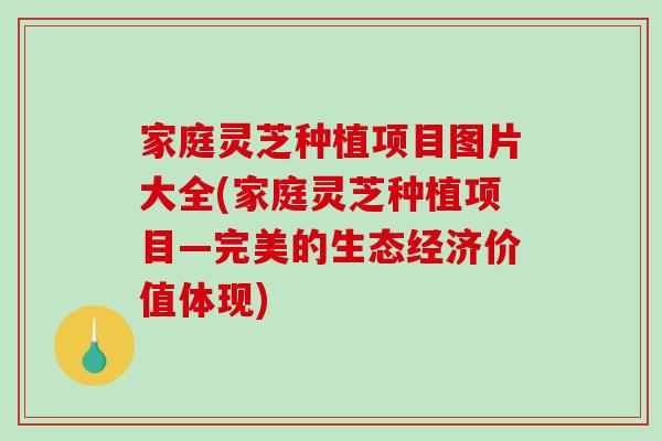 家庭灵芝种植项目图片大全(家庭灵芝种植项目—完美的生态经济价值体现)-第1张图片-破壁灵芝孢子粉研究指南