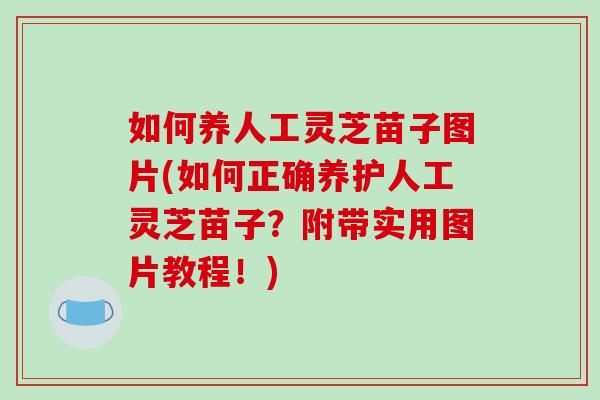 如何养人工灵芝苗子图片(如何正确养护人工灵芝苗子？附带实用图片教程！)-第1张图片-破壁灵芝孢子粉研究指南