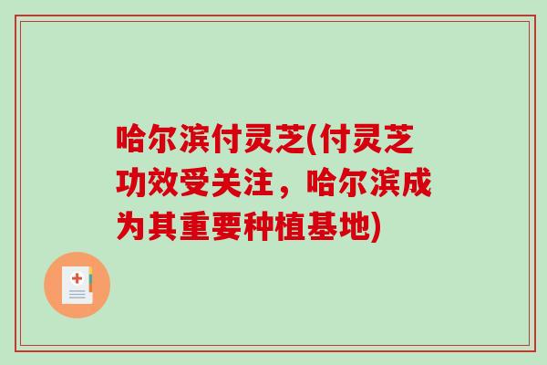 哈尔滨付灵芝(付灵芝功效受关注，哈尔滨成为其重要种植基地)-第1张图片-破壁灵芝孢子粉研究指南