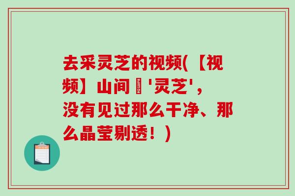 去采灵芝的视频(【视频】山间採'灵芝'，没有见过那么干净、那么晶莹剔透！)-第1张图片-破壁灵芝孢子粉研究指南