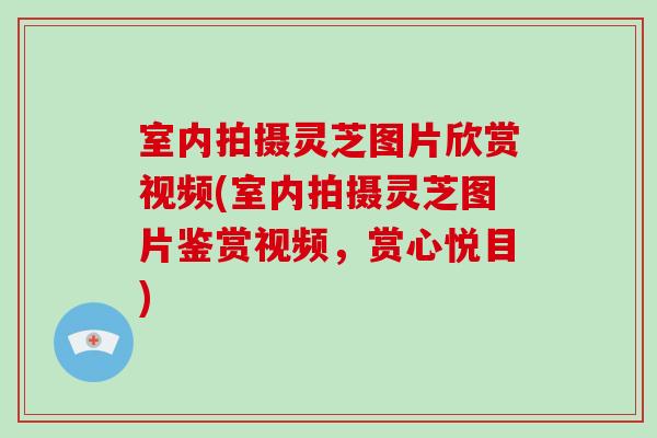 室内拍摄灵芝图片欣赏视频(室内拍摄灵芝图片鉴赏视频,赏心悦目)-第1张图片-破壁灵芝孢子粉研究指南 室内拍摄灵芝图片欣赏视频(室内拍摄灵芝图片鉴赏视频,赏心悦目)-第1张图片-破壁灵芝孢子粉研究指南