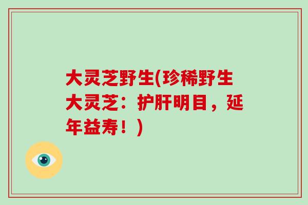 大灵芝野生(珍稀野生大灵芝：护肝明目，延年益寿！)-第1张图片-破壁灵芝孢子粉研究指南