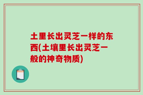 土里长出灵芝一样的东西(土壤里长出灵芝一般的神奇物质)-第1张图片-破壁灵芝孢子粉研究指南 土里长出灵芝一样的东西(土壤里长出灵芝一般的神奇物质)-第1张图片-破壁灵芝孢子粉研究指南