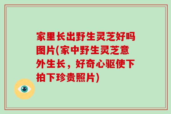 家里长出野生灵芝好吗图片(家中野生灵芝意外生长，好奇心驱使下拍下珍贵照片)-第1张图片-破壁灵芝孢子粉研究指南