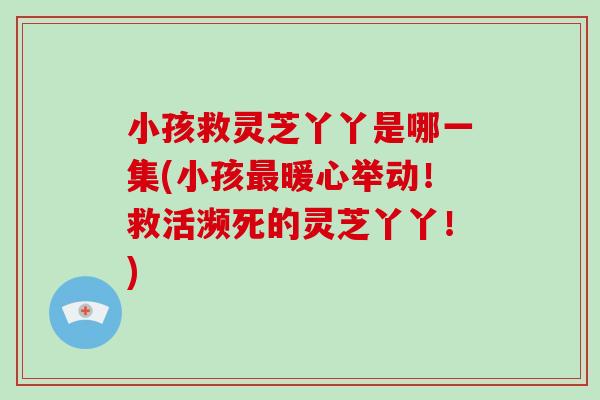 小孩救灵芝丫丫是哪一集(小孩最暖心举动！救活濒死的灵芝丫丫！)-第1张图片-破壁灵芝孢子粉研究指南