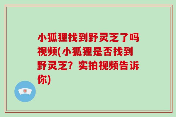 小狐狸找到野灵芝了吗视频(小狐狸是否找到野灵芝？实拍视频告诉你)-第1张图片-破壁灵芝孢子粉研究指南