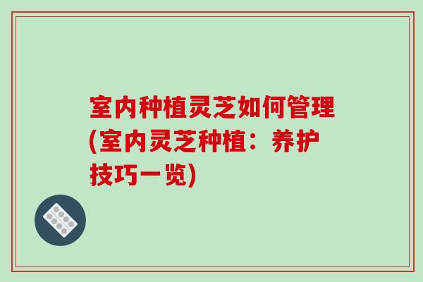 室内种植灵芝如何管理(室内灵芝种植：养护技巧一览)-第1张图片-破壁灵芝孢子粉研究指南