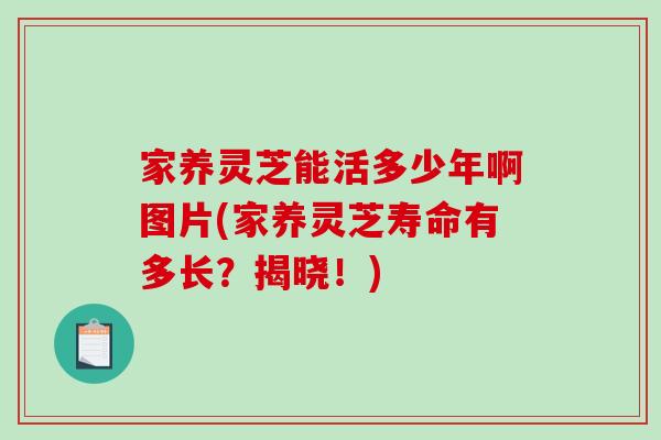 家养灵芝能活多少年啊图片(家养灵芝寿命有多长？揭晓！)-第1张图片-破壁灵芝孢子粉研究指南