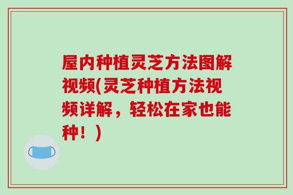 屋内种植灵芝方法图解视频(灵芝种植方法视频详解,轻松在家也能种!)-第1张图片-破壁灵芝孢子粉研究指南 屋内种植灵芝方法图解视频(灵芝种植方法视频详解,轻松在家也能种!)-第1张图片-破壁灵芝孢子粉研究指南