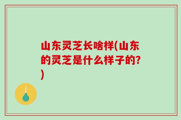 山东灵芝长啥样(山东的灵芝是什么样子的？)-第1张图片-破壁灵芝孢子粉研究指南