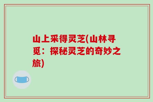 山上采得灵芝(山林寻觅：探秘灵芝的奇妙之旅)-第1张图片-破壁灵芝孢子粉研究指南