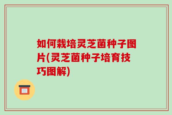 如何栽培灵芝菌种子图片(灵芝菌种子培育技巧图解)-第1张图片-破壁灵芝孢子粉研究指南