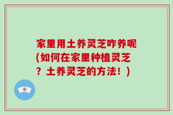 家里用土养灵芝咋养呢(如何在家里种植灵芝？土养灵芝的方法！)-第1张图片-破壁灵芝孢子粉研究指南