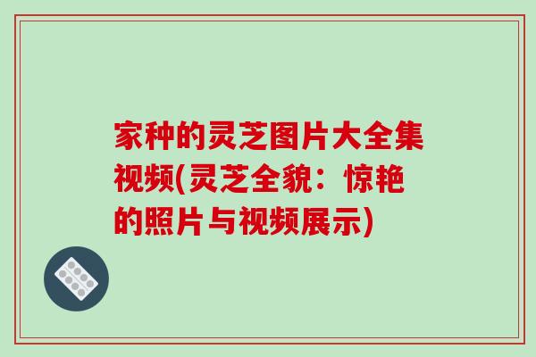 家种的灵芝图片大全集视频(灵芝全貌：惊艳的照片与视频展示)-第1张图片-破壁灵芝孢子粉研究指南