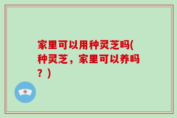 家里可以用种灵芝吗(种灵芝，家里可以养吗？)-第1张图片-破壁灵芝孢子粉研究指南