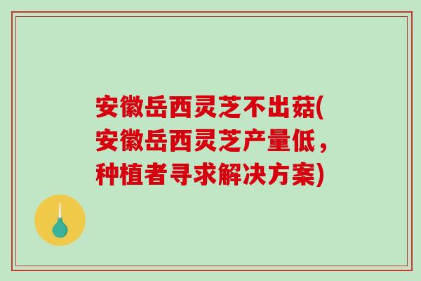安徽岳西灵芝不出菇(安徽岳西灵芝产量低，种植者寻求解决方案)-第1张图片-破壁灵芝孢子粉研究指南