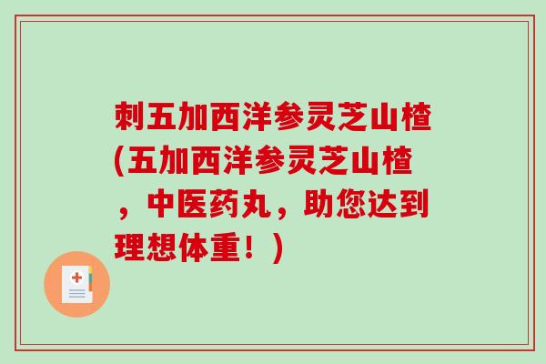 刺五加西洋参灵芝山楂(五加西洋参灵芝山楂，中医药丸，助您达到理想体重！)-第1张图片-破壁灵芝孢子粉研究指南