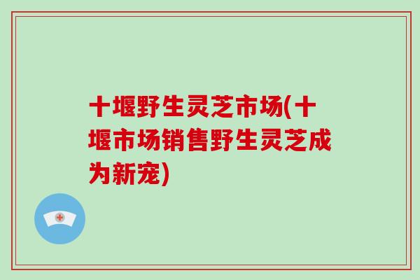 十堰野生灵芝市场(十堰市场销售野生灵芝成为新宠)-第1张图片-破壁灵芝孢子粉研究指南