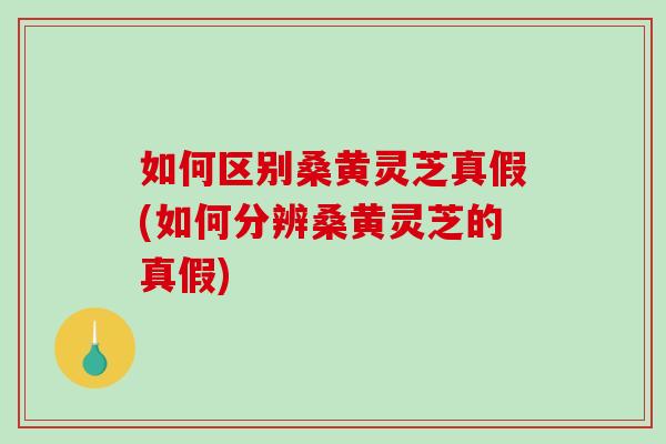 如何区别桑黄灵芝真假(如何分辨桑黄灵芝的真假)-第1张图片-破壁灵芝孢子粉研究指南