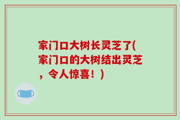 家门口大树长灵芝了(家门口的大树结出灵芝，令人惊喜！)-第1张图片-破壁灵芝孢子粉研究指南