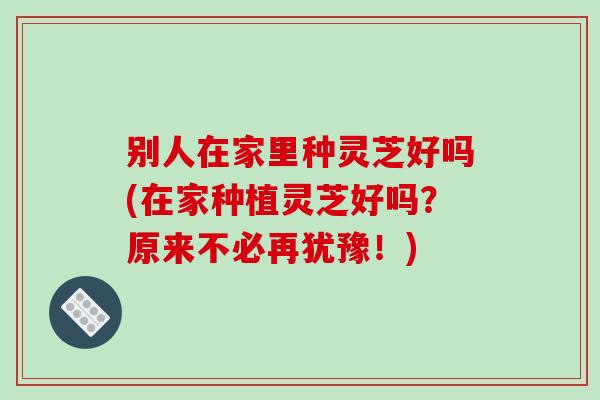 别人在家里种灵芝好吗(在家种植灵芝好吗？原来不必再犹豫！)-第1张图片-破壁灵芝孢子粉研究指南