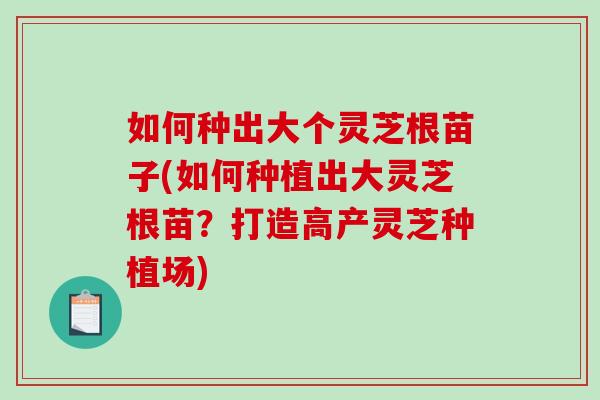 如何种出大个灵芝根苗子(如何种植出大灵芝根苗？打造高产灵芝种植场)-第1张图片-破壁灵芝孢子粉研究指南