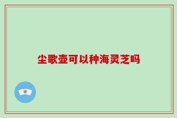 尘歌壶可以种海灵芝吗-第1张图片-破壁灵芝孢子粉研究指南