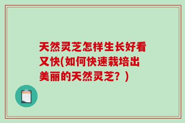 天然灵芝怎样生长好看又快(如何快速栽培出美丽的天然灵芝？)-第1张图片-破壁灵芝孢子粉研究指南