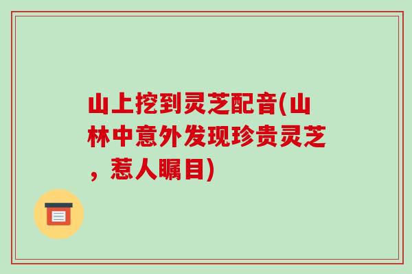 山上挖到灵芝配音(山林中意外发现珍贵灵芝，惹人瞩目)-第1张图片-破壁灵芝孢子粉研究指南