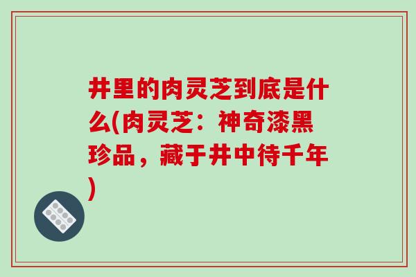 井里的肉灵芝到底是什么(肉灵芝：神奇漆黑珍品，藏于井中待千年)-第1张图片-破壁灵芝孢子粉研究指南