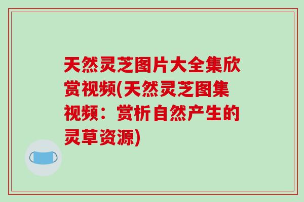 天然灵芝图片大全集欣赏视频(天然灵芝图集视频：赏析自然产生的灵草资源)-第1张图片-破壁灵芝孢子粉研究指南