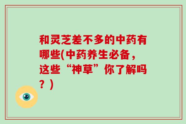 和灵芝差不多的中药有哪些(中药养生必备，这些“神草”你了解吗？)-第1张图片-破壁灵芝孢子粉研究指南