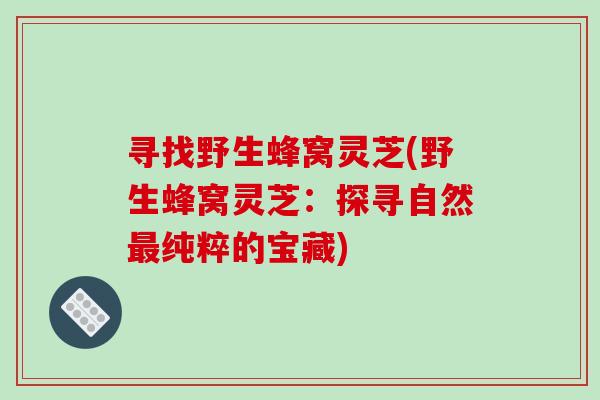 寻找野生蜂窝灵芝(野生蜂窝灵芝：探寻自然最纯粹的宝藏)-第1张图片-破壁灵芝孢子粉研究指南