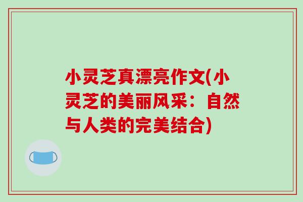 小灵芝真漂亮作文(小灵芝的美丽风采:自然与人类的完美结合)-第1张图片-破壁灵芝孢子粉研究指南 小灵芝真漂亮作文(小灵芝的美丽风采:自然与人类的完美结合)-第1张图片-破壁灵芝孢子粉研究指南
