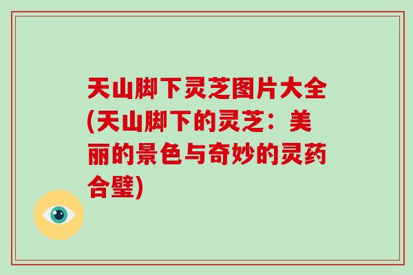 天山脚下灵芝图片大全(天山脚下的灵芝:美丽的景色与奇妙的灵药合璧)-第1张图片-破壁灵芝孢子粉研究指南 天山脚下灵芝图片大全(天山脚下的灵芝:美丽的景色与奇妙的灵药合璧)-第1张图片-破壁灵芝孢子粉研究指南