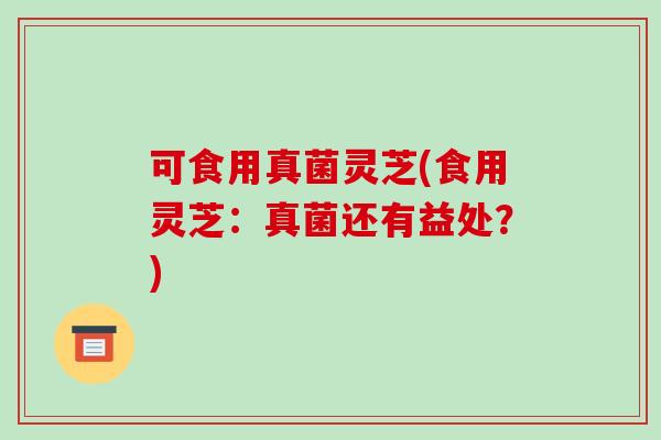 可食用真菌灵芝(食用灵芝:真菌还有益处?)-第1张图片-破壁灵芝孢子粉研究指南 可食用真菌灵芝(食用灵芝:真菌还有益处?)-第1张图片-破壁灵芝孢子粉研究指南