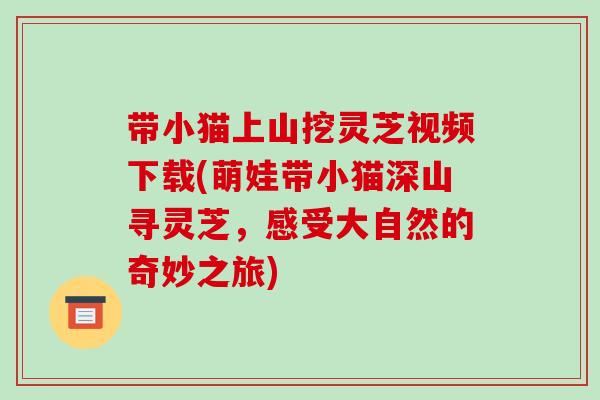带小猫上山挖灵芝视频下载(萌娃带小猫深山寻灵芝，感受大自然的奇妙之旅)-第1张图片-破壁灵芝孢子粉研究指南