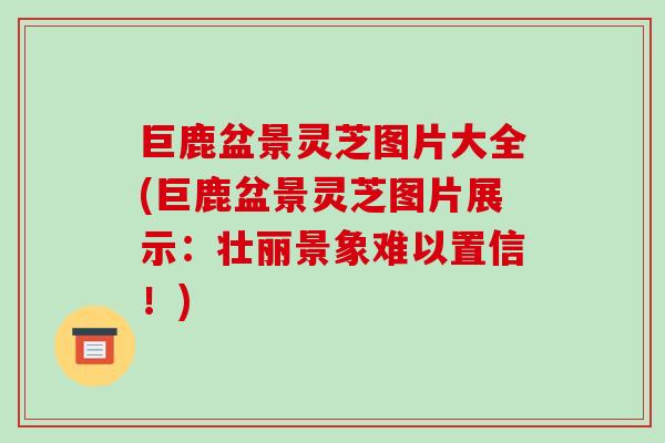 巨鹿盆景灵芝图片大全(巨鹿盆景灵芝图片展示:壮丽景象难以置信!)-第1张图片-破壁灵芝孢子粉研究指南 巨鹿盆景灵芝图片大全(巨鹿盆景灵芝图片展示:壮丽景象难以置信!)-第1张图片-破壁灵芝孢子粉研究指南