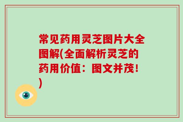 常见药用灵芝图片大全图解(全面解析灵芝的药用价值：图文并茂！)-第1张图片-破壁灵芝孢子粉研究指南