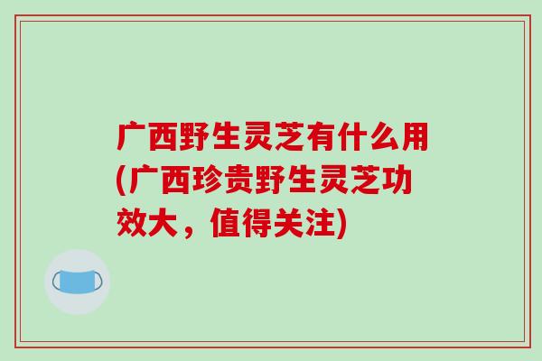 广西野生灵芝有什么用(广西珍贵野生灵芝功效大,值得关注)-第1张图片-破壁灵芝孢子粉研究指南 广西野生灵芝有什么用(广西珍贵野生灵芝功效大,值得关注)-第1张图片-破壁灵芝孢子粉研究指南